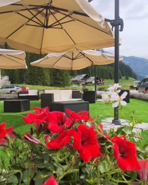 Soggiorno Dolomiti Mazzin Exterior photo